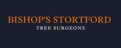 Bishop's Stortford Tree Surgeons